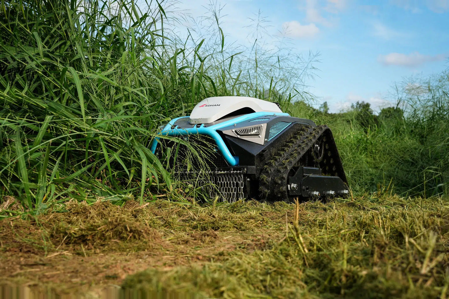 Robotic Lawn Mower